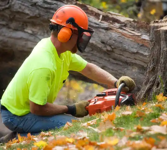 tree services Casselton